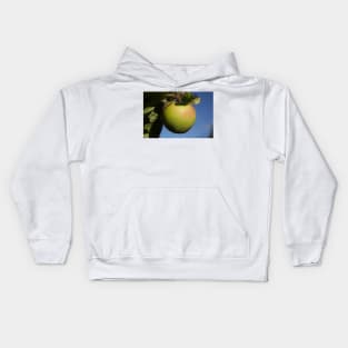 alb apple a day Kids Hoodie